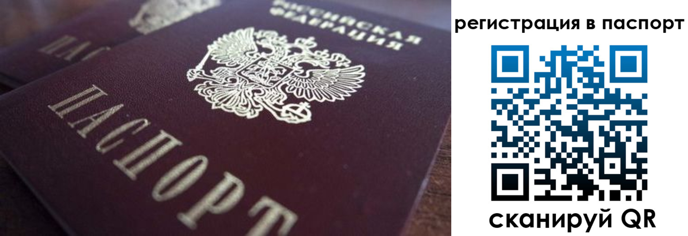 прописка 2025 в Сафоново
